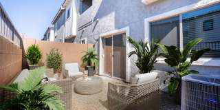 Banyan at 17 North Gallery 16