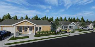 Allier Heartwood Gallery 30