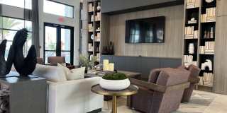 Ilumina Zephyrhills Gallery 11