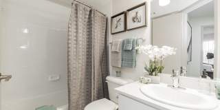 The Caleb Gallery 14