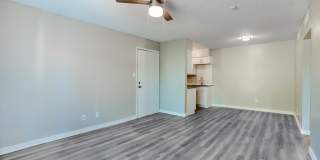 Rise Lakeside Gallery 21