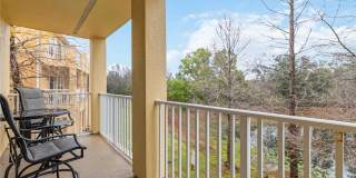 9040 WHITE SAGE LOOP Gallery 31