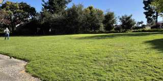 11 Montsalas Dr Gallery 25