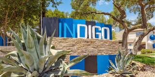 Indigo Apartments Gallery 18