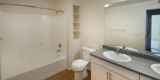Skyview Gallery 20