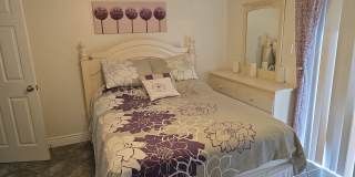 5 Black Cherry Dr Gallery 6