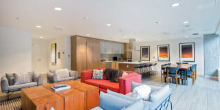Rooster Gallery 29