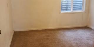 Garden level 2 br  near School of Mines | Mountain views | walking distance to downtown Golden Gallery 6