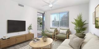 The Strand Gallery 65