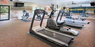 Douglas Pointe Gallery 7