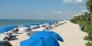 100 Lambiance Cir unit: 1-101 Gallery 1