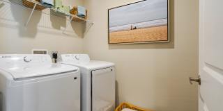 Dream Winter Haven Gallery 10