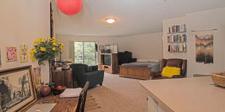 North Village Gallery 4