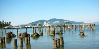 Willina Ranch Gallery 22