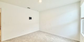 641 Bald Cypress Drive Gallery 54