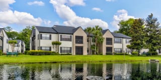 Cypress Run Gallery 24