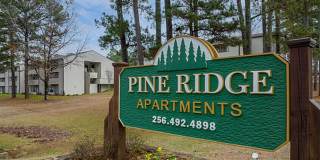 Pine Ridge Gallery 10