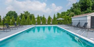 Executive Lodge Gallery 31