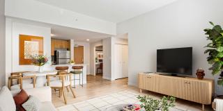 James and Harrison Court Gallery 10