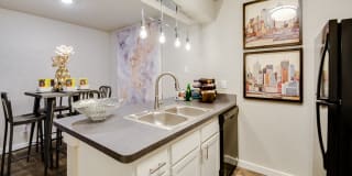Central Park Gallery 12