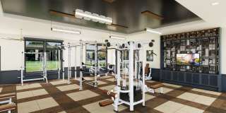 Solis Buffaloe Gallery 48