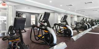 TGM Bull Run Gallery 30