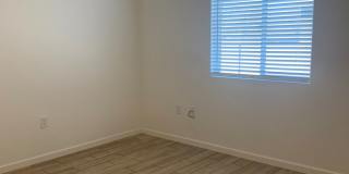 Pantano Vista Gallery 23