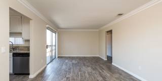 Viewpoint Luxury Apartments Gallery 2