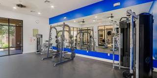 Santana Ridge Gallery 17