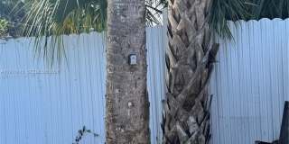 16561 NW 19th Ave Gallery 11