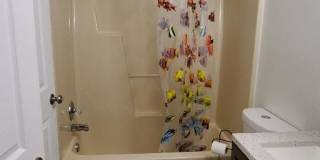 3330 Windemere Drive Gallery 9