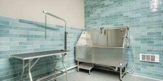 The Gauge Gallery 29