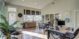 Renew Midland Gallery 14