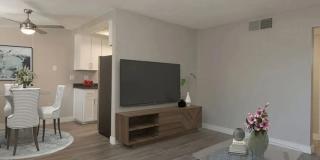 The Easton Apartments Gallery 10