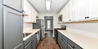 The Dakota at Druid Hills Gallery 39