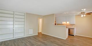 1120 Laguna Street Gallery 1