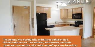 Aspen Ridge Gallery 4