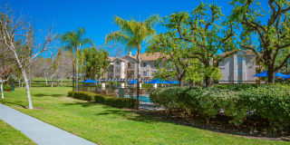 Central Park Gallery 24