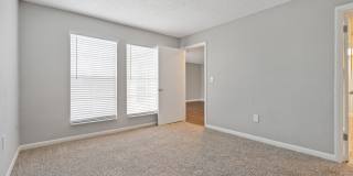 Buena Vista Gallery 80