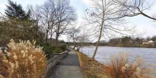 18730 WALKERS CHOICE Road Gallery 46
