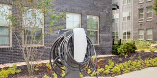 EDE Gallery 80