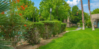 67821 N Portales Drive Gallery 21