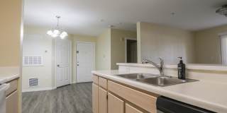 5451 Vineland Road Unit #2111 Gallery 6