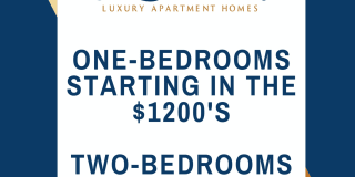 Indigo Springs Gallery 20