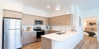 Red Hawk and Laurel Grey Gallery 8