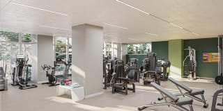 The Chestnut Gallery 6