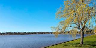 306 Ocean Road Gallery 39