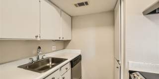 Rise Spring Pointe Gallery 155