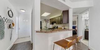 Boca Arbor Club Gallery 24