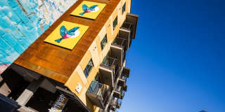 iLuminate Gallery 32